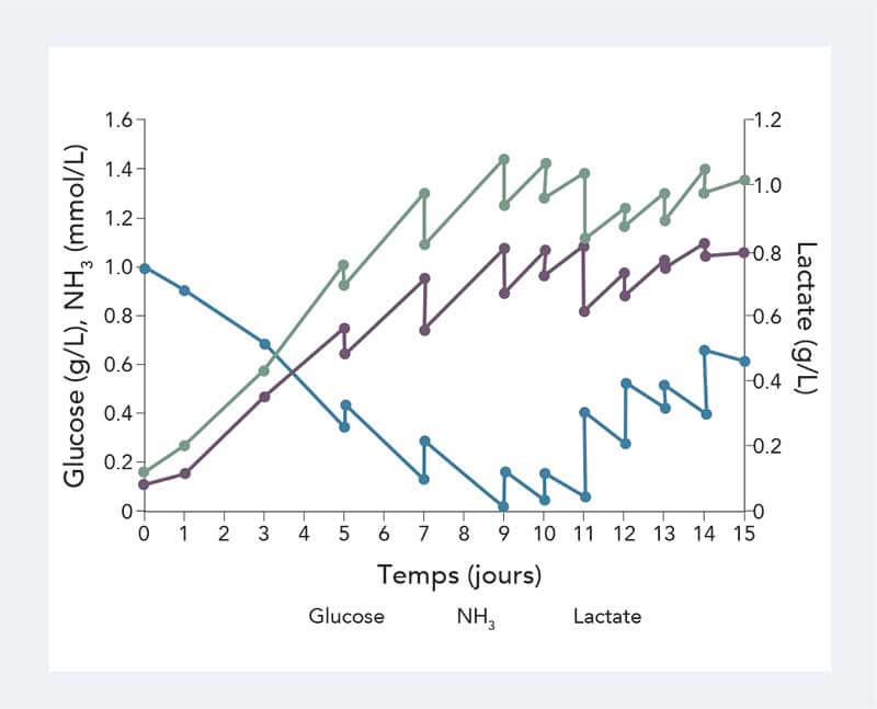 Graphique montrant le profil métabolique d'une culture de cellules MSC, mesurant le glucose, le lactate et l'ammoniaque avec un analyseur Cedex Bio.